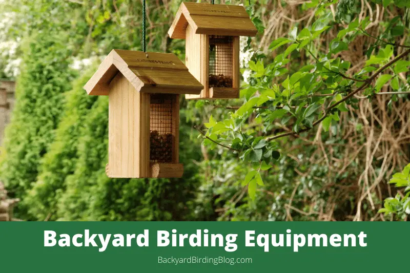 Featured image for a page about backyard birding equipment.