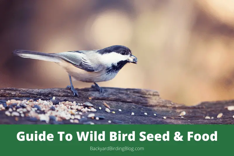 Featured image for a comprehensive guide to wild bird seed and wild bird food in general.