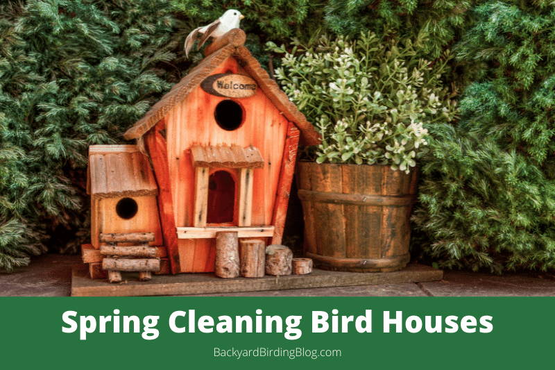 Safely spring cleaning bird houses featured image.